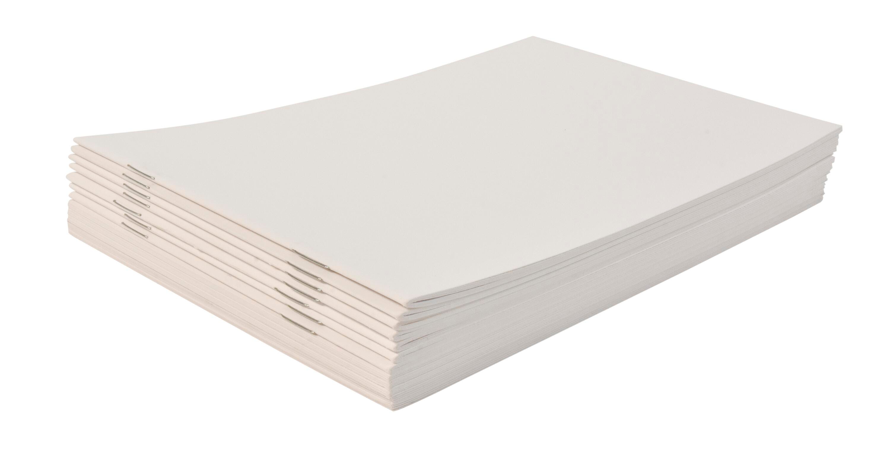 School Smart Bright Blank Books, 8-1/2 X 5-1/2 Inches, White, 16 Sheets, Pack of 12 2088940